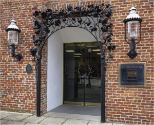 Evolution_Cotton_Plant